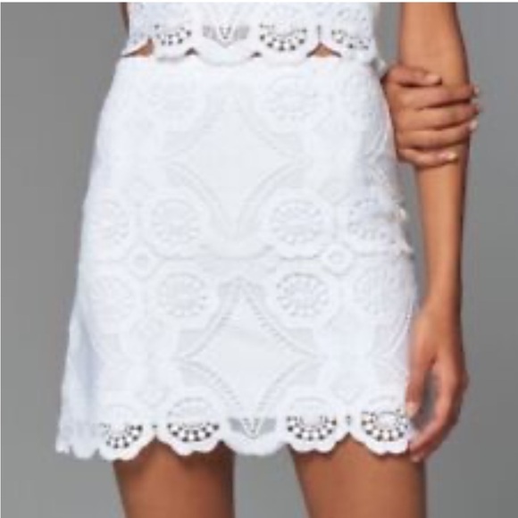 Abercrombie & Fitch Dresses & Skirts - Women’s Abercrombie & Fitch Lined Lace Skirt Size 0